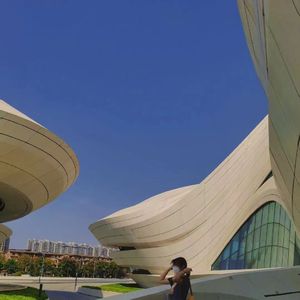 欧美熟妇性内谢XXXXX
